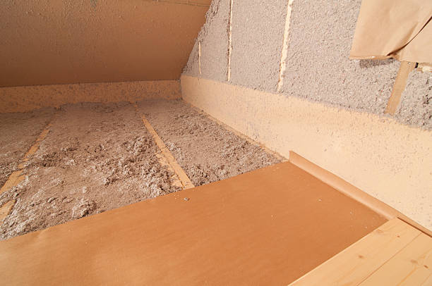 Best Insulation Installation Services in Pine Lakes, FL