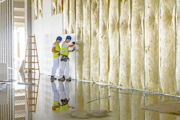 Best Insulation for Specific Applications in Pine Lakes, FL
